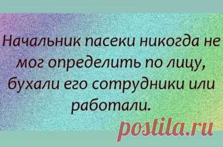 «Возможно, это изображение (текст «начальник naceku никогда не мог определить no лицу, бухали его сотрудники или работали.»)» — карточка пользователя Татьяна Кармишина в Яндекс.Избранном