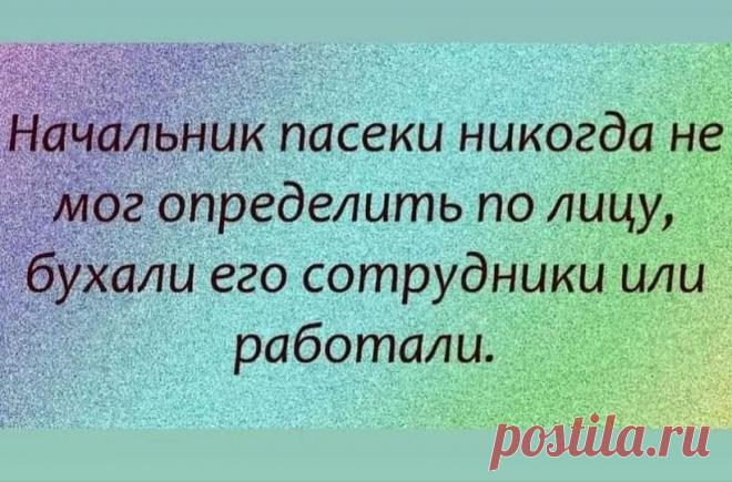 «Возможно, это изображение (текст «начальник naceku никогда не мог определить no лицу, бухали его сотрудники или работали.»)» — карточка пользователя Татьяна Кармишина в Яндекс.Избранном