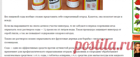 Помощники дачника из обычного продуктового магазина