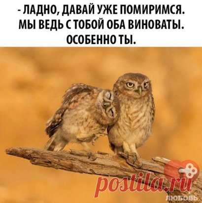 Всем хорошего настроения! - ЖМИ ⇓⇓⇓ 
#птицы