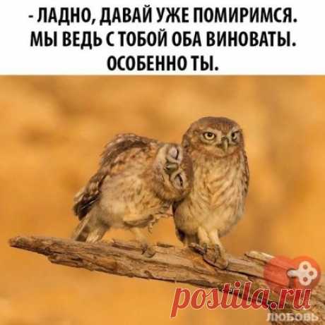 Всем хорошего настроения! - ЖМИ ⇓⇓⇓ 
#птицы