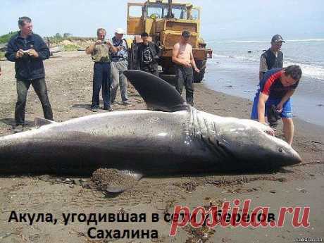 удачный улов...