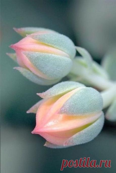 Интересные новости