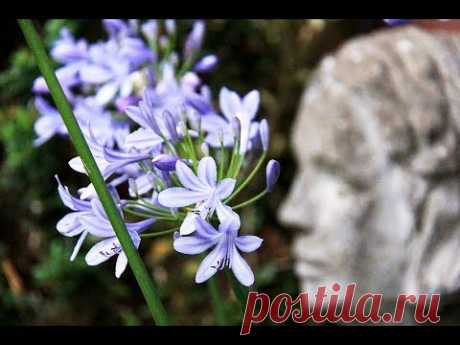 Статуи в дизайне сада - YouTube