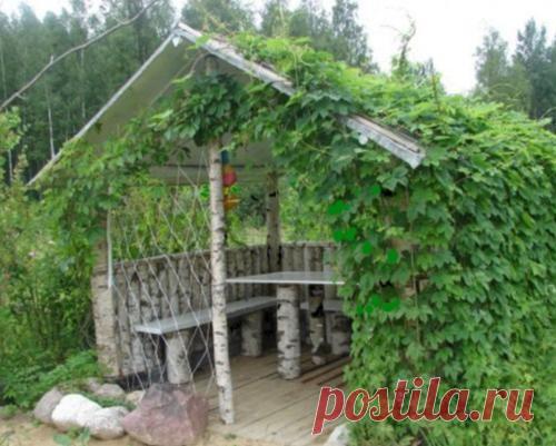 Беседка для дачи