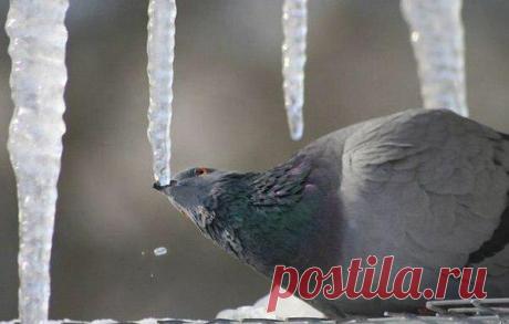 Интересные новости