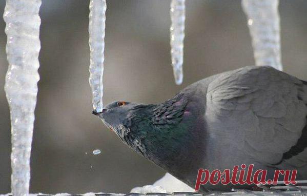 Интересные новости