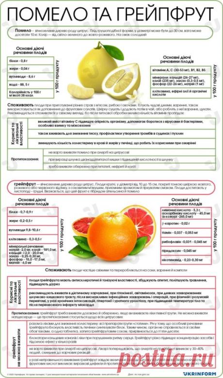 Полезные свойства помело
Чем полезен помело, кому лучше исключить его из рациона и можно ли есть этот цитрусовый беременным? Помело иногда называют шеддоком в честь капитана Шеддока, который привез семена этого цитрусового в Вест-Индию с Малайского архипелага в 17 веке. Его родиной считается Китай, где он символизирует благополучие и процветание.  Народная Медицина — рецепты для лечения, cекреты и народные средства.
