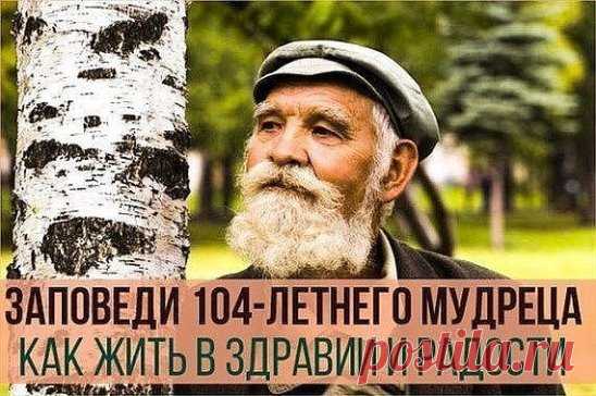 Заповеди 104-летнего мудреца Андрея Ворона для долгой и радостной жизни 
1. Научись видеть вокруг всё живое и радоваться всему – траве, дереву, птицам, животным, земле, небу. Всматривайся в них добрыми глазами и с внимательным сердцем – и откроются тебе такие знания, которые не найдешь в книгах. И увидишь в них себя – укрощенного и обновленного. 
2. Возьми за обычай хоть по несколько минут во вс