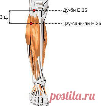 Полезные биологически активные точки. Четыре общие точки Сы Цзун Сюэ.