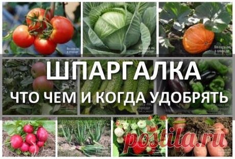 ПОЛЕЗНЫЕ СОВЕТЫ : 
✪ Сохраните чтобы не потерять.