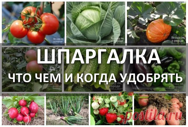 ПОЛЕЗНЫЕ СОВЕТЫ : 
✪ Сохраните чтобы не потерять.