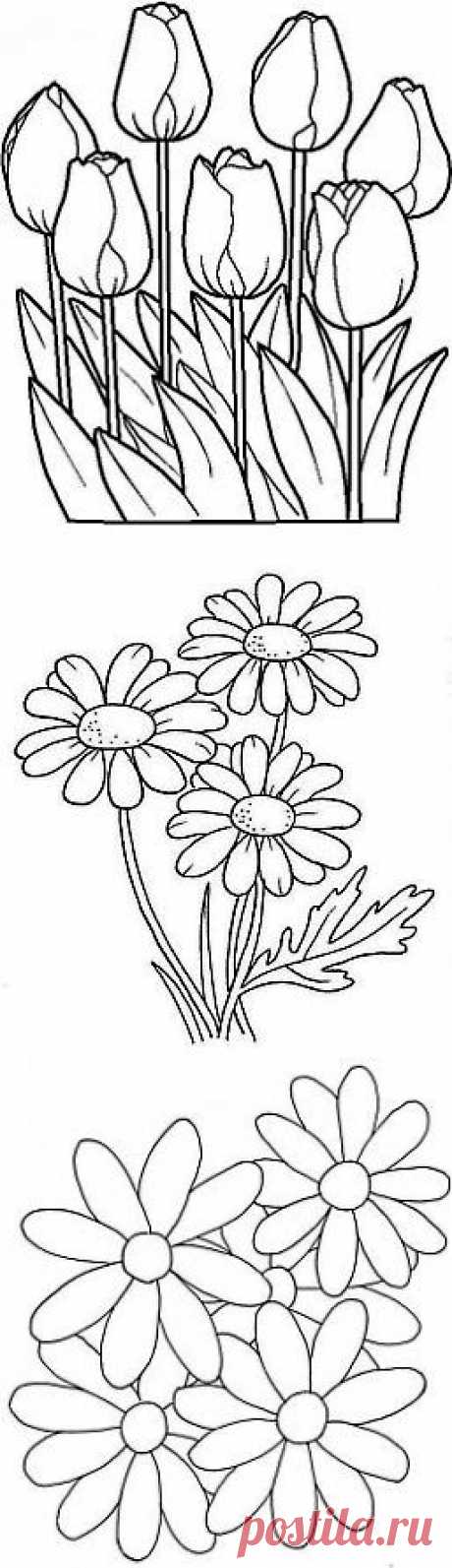 Desenhos de Flores | Painel Criativo