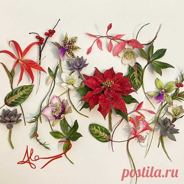 The Flowers I created in my November - December Festive FB demonstrations. If you would like to sign up and create your own flowers please message or email me - nasturtium72@aol.com .... Poinsettia and Ilex berries ... Aztec Lily and Maranta foliage .... Christmas Rose and porcelain vine berries.....Zygopetalum orchid and Yew berries..... and also Exotic Amhertsia from earlier in the year - £30 each and a complimentary Butterfly and succulents demonstration too..... Happy ...