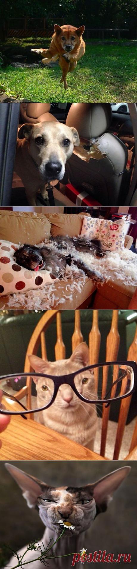 (+1) - Удачный стоп - кадр | Улетные картинки