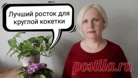 Лучший росток для круглой кокетки, мои работы. | Ольга Прилуцкая, вязание - это модно | Дзен