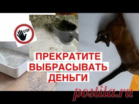 🔥ВЫ НЕПРАВИЛЬНО ИСПОЛЬЗУЕТЕ НАПОЛНИТЕЛЬ ДЛЯ КОШАЧЬЕГО ТУАЛЕТА! 💰 Самый дешевый и чистый способ!