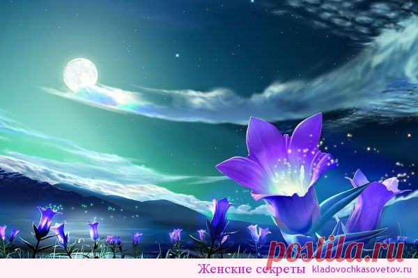 Лунный календарь для растений на январь 2016 | Женские секреты