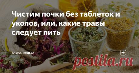 Чистим почки без таблеток и уколов, или, какие травы следует пить Травы – это один из самых эффективных способов очистки почек. С помощью чистки почек вы не только выведите из организма вредные токсины, но еще и нормализуете артериальное давление. Также благодаря этой процедуре налаживается работа мочевого пузыря и мочевыводящих путей.
