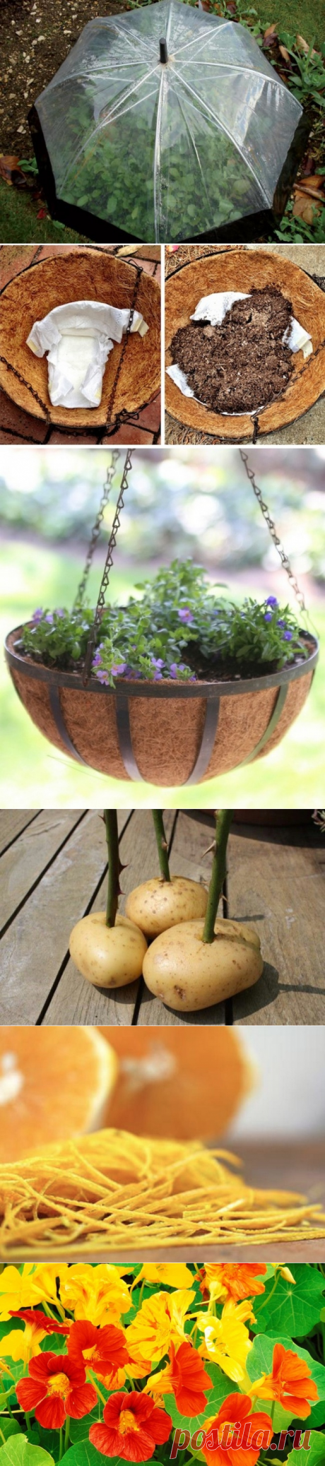 10 отличных советов для тех, у кого есть дача