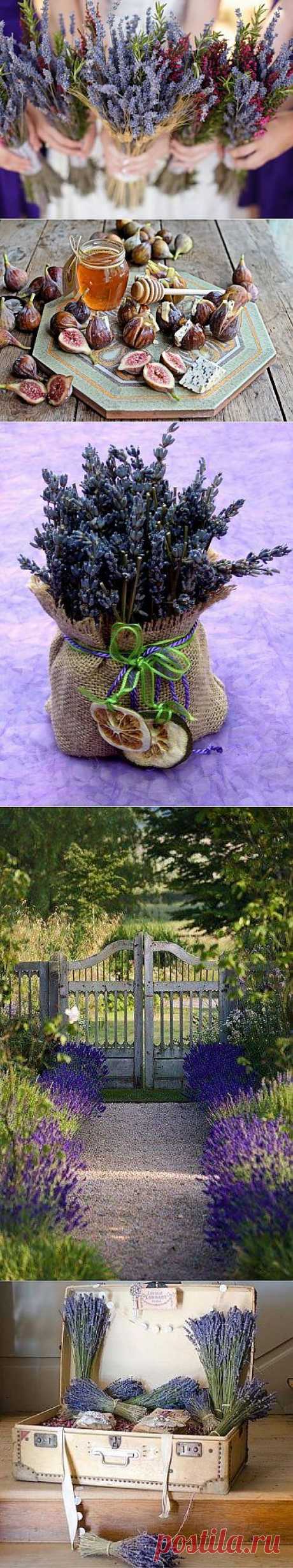 Лавандовое лето в Провансе..