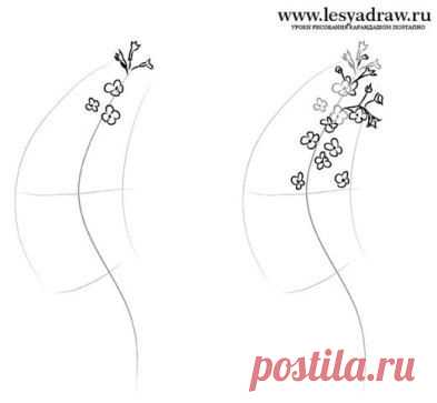 учимся рисовать цветы