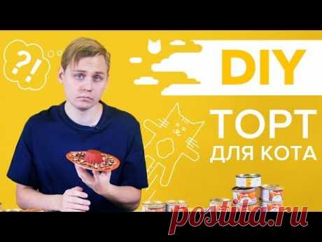 ПРОВЕРЯЕМ РЕЦЕПТ ТОРТА ДЛЯ КОТА