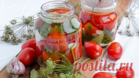 Пикантные помидоры с горчицей и травами: Live-mind