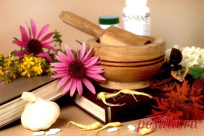 (2) Народная медицина и целительство