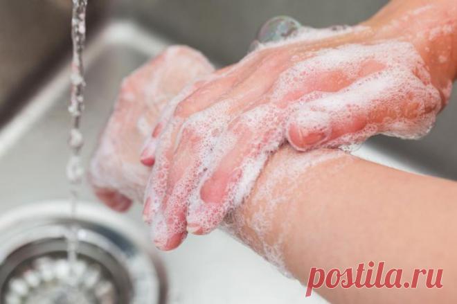 Опасные для жизни бактерии обнаружены в квартирах и домах Американские ученые из медицинской школы Вашингтонского университета в Сент-Луисе обнаружили в домашней среде популяцию особо опасных бактерий, которые отличаются устойчивостью к антибиотикам. Ученые