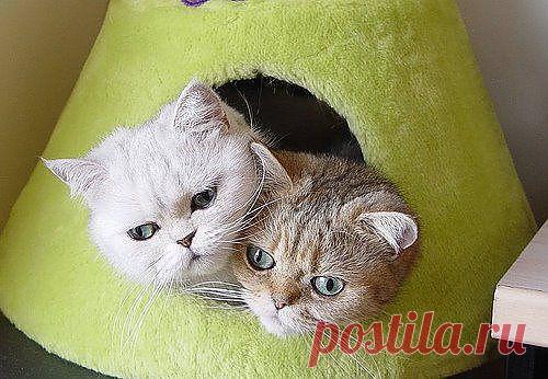 Вместе тесно, а врозь скучно