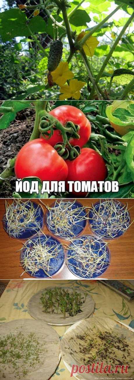 (10) Одноклассники