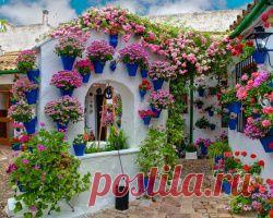 Одесса:умер участник событий 2 мая "сотник Мыкола" | Инфо-кухня