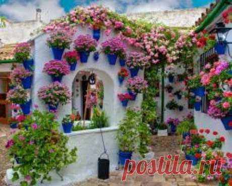 Одесса:умер участник событий 2 мая &quot;сотник Мыкола&quot; | Инфо-кухня