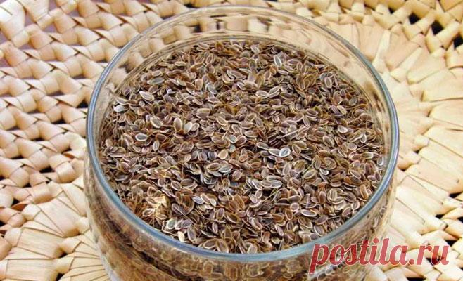 Как я свои глаза укропом вылечила. Надеюсь, мой опыт поможет людям!