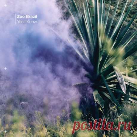 Zoo Brazil – Yes I Know [KD223BP] free download mp3 music 320kbps