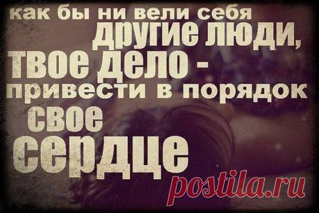 Фото пользователя Владимир, Санкт-Петербург, 51 год