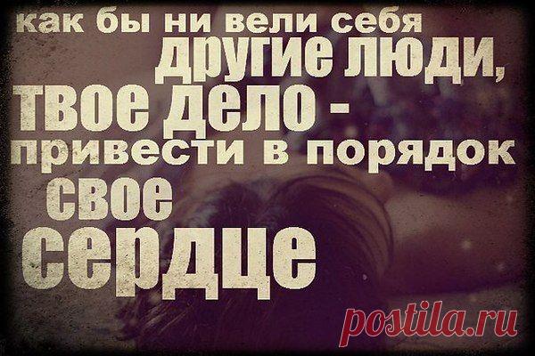 Фото пользователя Владимир, Санкт-Петербург, 51 год