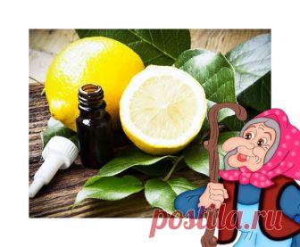 Народные средства от зубной боли – проверено временем | Полезные советы | Яндекс Дзен