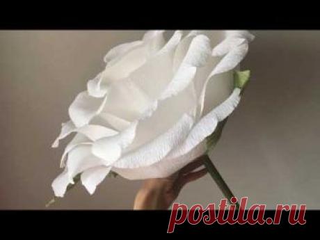 Пошаговый МК.Большая роза из гофрированной бумаги для фотосесии./A big rose out of paper