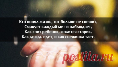 Мудрые мысли Омара Хайяма — Болтай