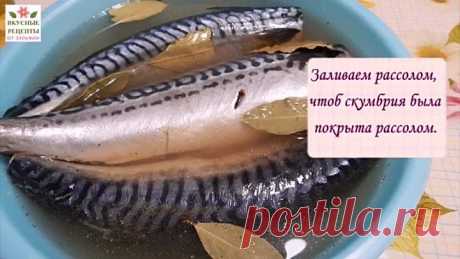 Очень Вкусный РЕЦЕПТ скумбрия малосольная пряного посола по ГОСТу.Готовим дома.Просто Вкусно