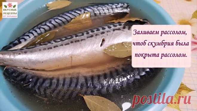 Очень Вкусный РЕЦЕПТ скумбрия малосольная пряного посола по ГОСТу.Готовим дома.Просто Вкусно