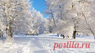 зимние пейзажи: 73 тыс изображений найдено в Яндекс.Картинках
