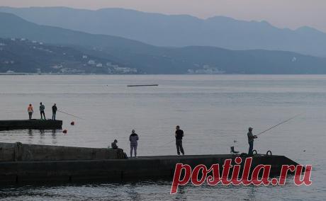 В Алуште из-за аварии полностью пропало электричество. Алушта полностью лишилась электричества из-за аварии на высоковольтных линиях в районе Ялты, сообщила глава администрации города Галина Огнева в своем телеграм-канале.