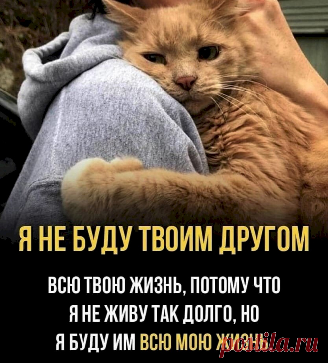 Выпуск №3659 - выпуск анекдотов сайта вокруг смеха