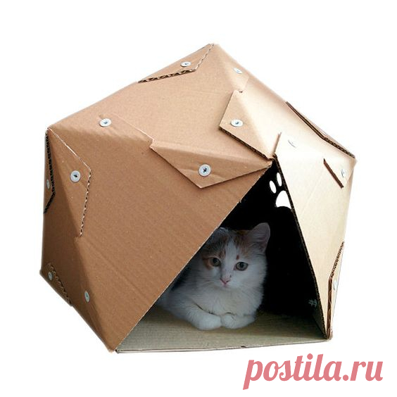 Как сделать домик для кота своими руками: 13 идей и мастер классов