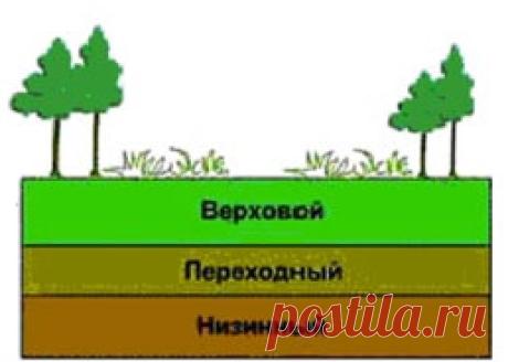 Торф как удобрение: виды, состав, применение в огороде