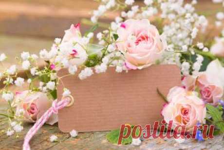 Roses_Template_greeting_card_518668_1280x853.jpg (1280×853)