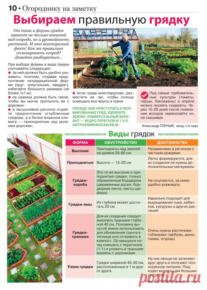 Сваты на даче №1 2023